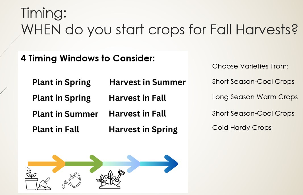 chart illustrating timing of garden crops