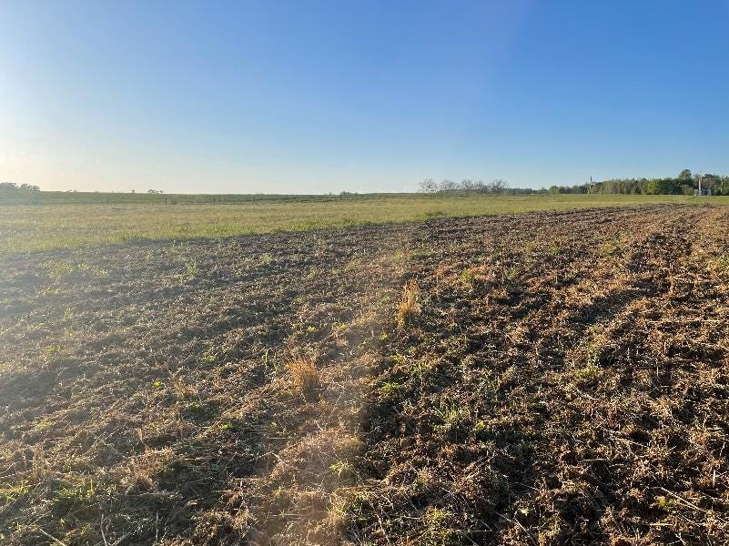 A field with a blue sky

AI-generated content may be incorrect.