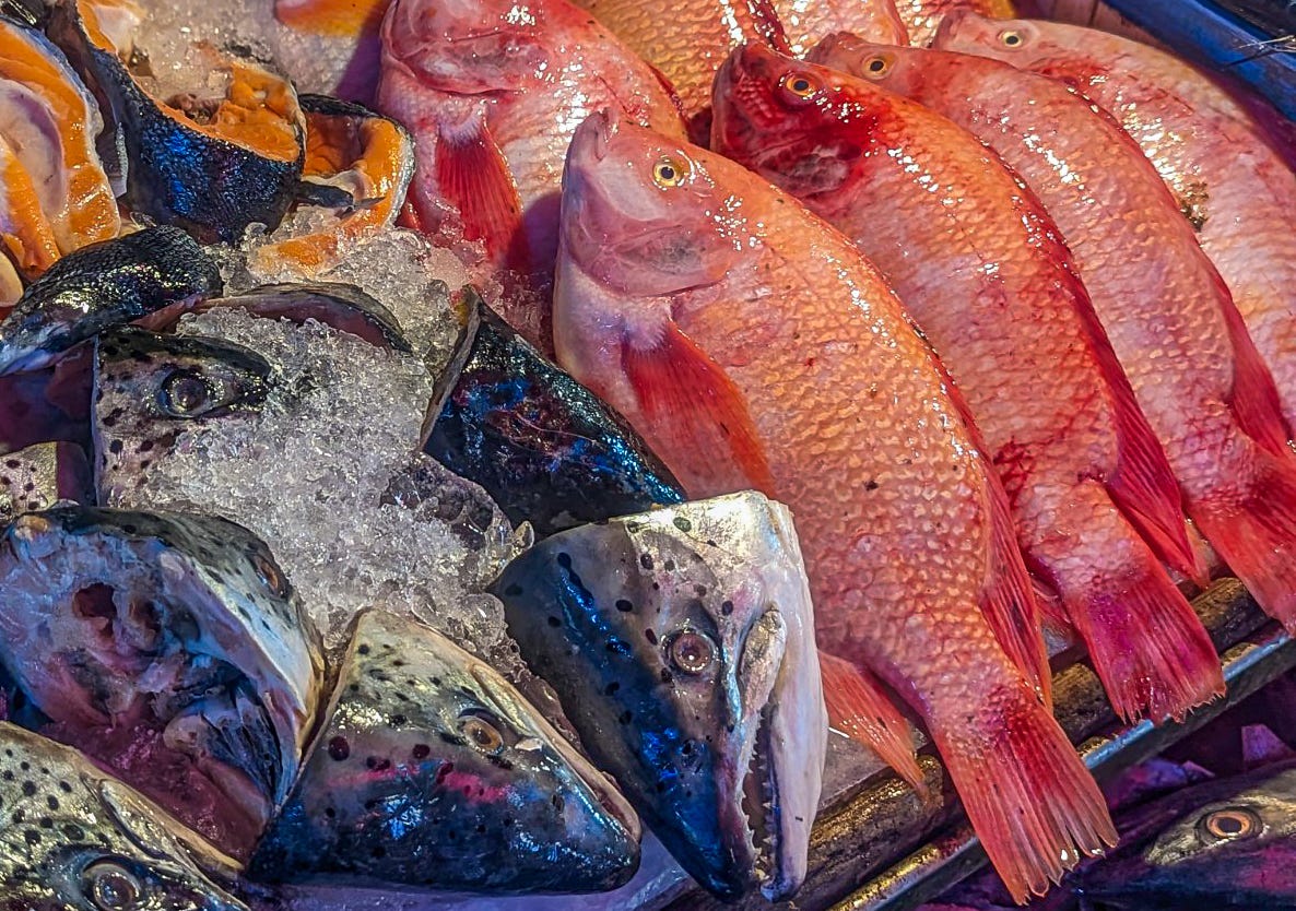 Neat rows of orange fish lay next to gray fishheads. 