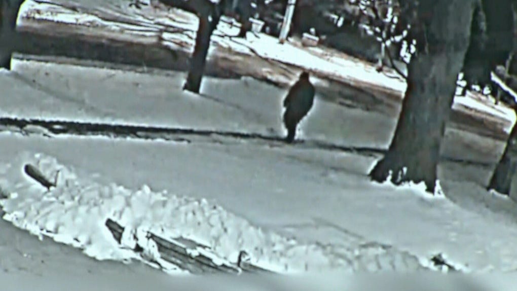 Sherman murders: See the new video of the suspect | CTV News