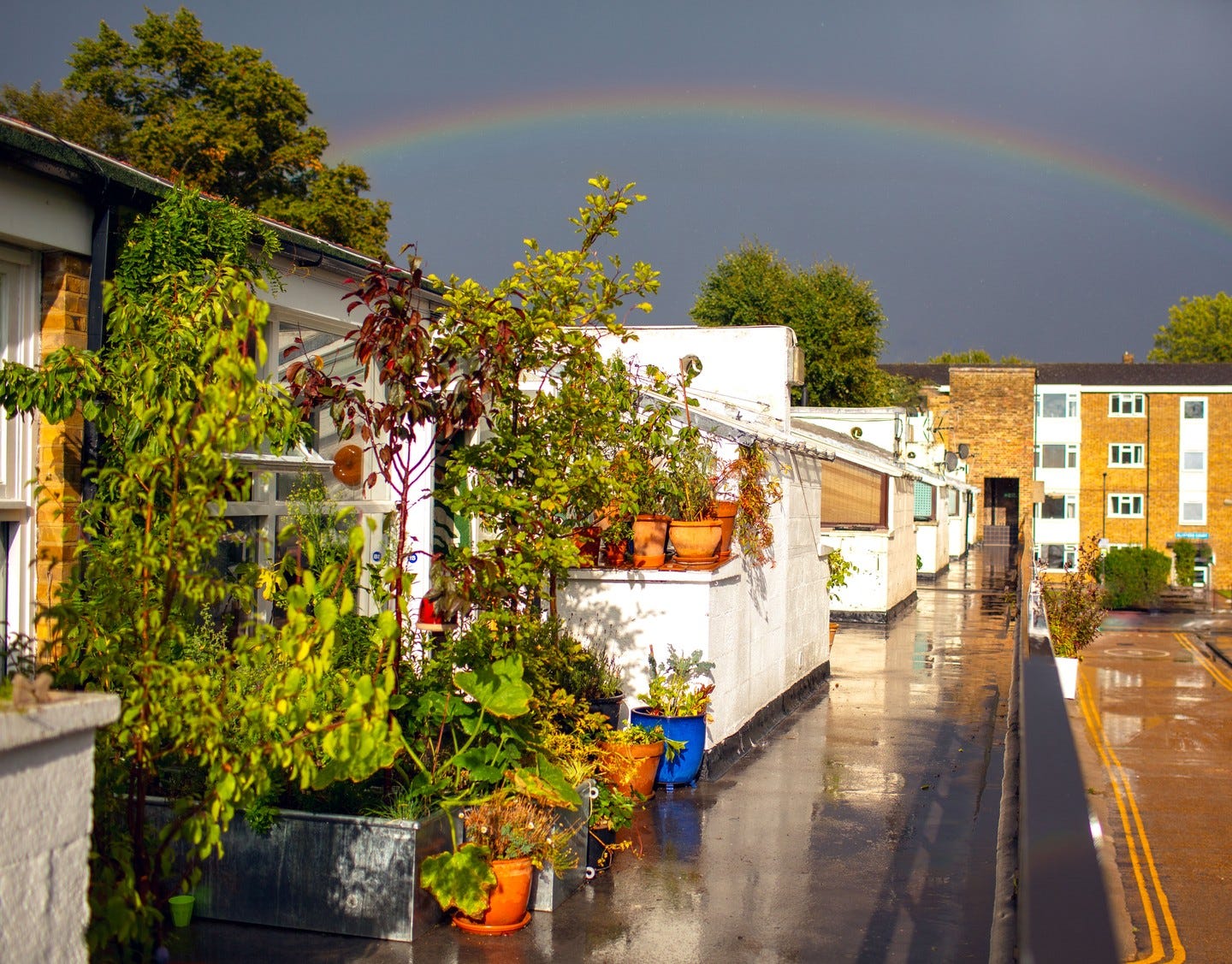 Vanbrugh Park Estate gardens with rainbow in sky