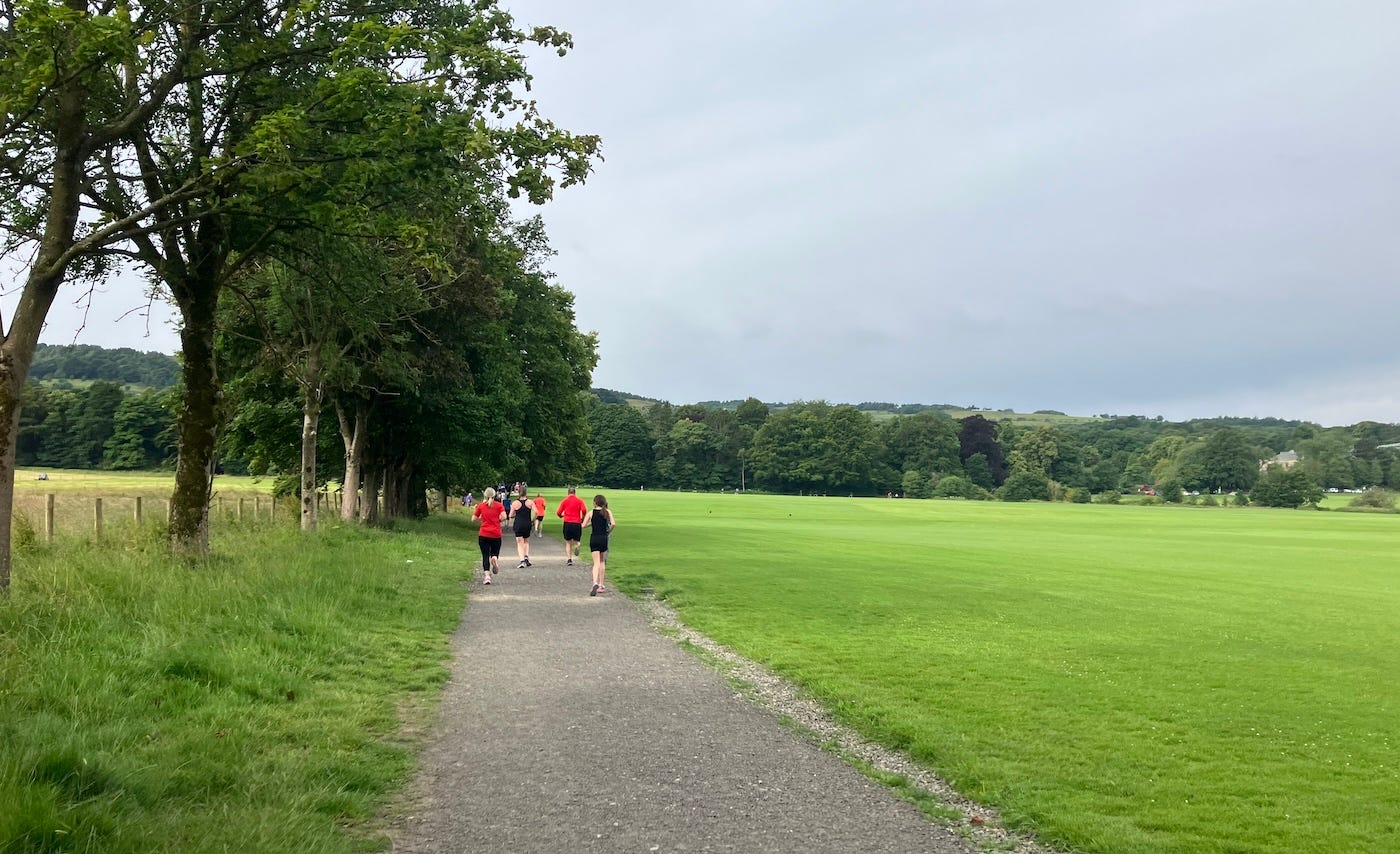 A wide path bordered by a field on one side and trees on the other