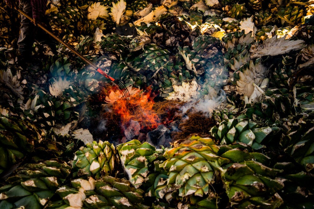 Agave heads roasting in a traditional earthen pit during the mezcal production process, emitting smoke and capturing the rustic, artisanal nature of mezcal-making. Agave heads roasting in a traditional earthen pit during the mezcal production process, emitting smoke and capturing the rustic, artisanal nature of mezcal-making.