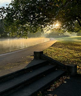 An early morning photo of a pond in a park. There's a mist hovering over the grass but the sun is shining through the trees, dappling the paths. The sun light is also reflected in the water so it glows orange.