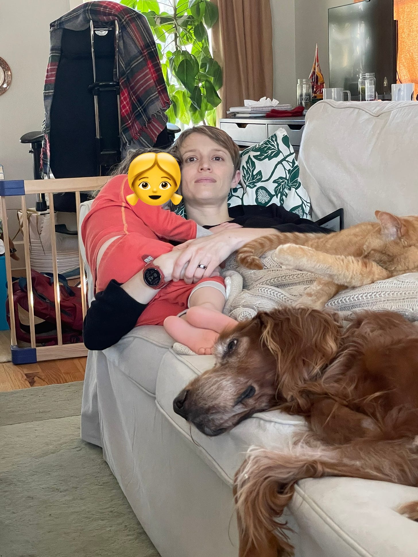 Susan lying on the couch with her toddler on one side and her tabby and Irish setter on the other