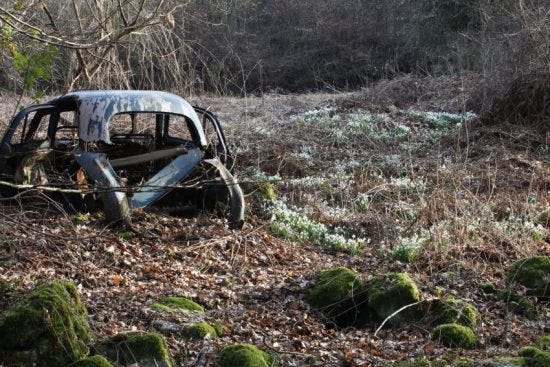 Snowdrops and car at Veddw Garden copyright Charles Hawes 