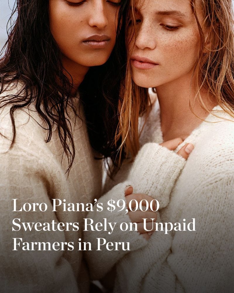 Joselyn Pena on LinkedIn: Loro Piana's $9,000 Sweaters Rely on Unpaid  Farmers in Peru