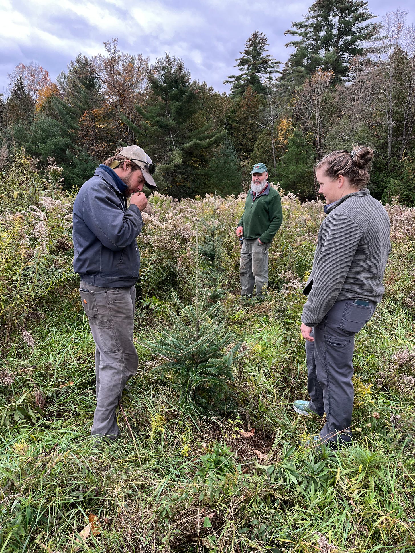 Essex Farm Institute Farm Advocate Dillon Klepetar, left, checks out Adirondack-grown evergreens at Zelinsky Family Sugarworks in Moriah