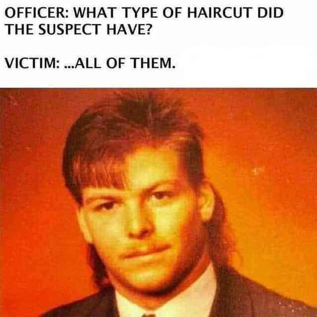 May be an image of 1 person and text that says 'OFFICER: WHAT TYPE OF HAIRCUT DID THE SUSPECT HAVE? VICTIM: ...ALL OF THEM.'