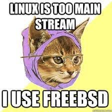 Linux is too main stream I use freebsd - Hipster Kitty - quickmeme