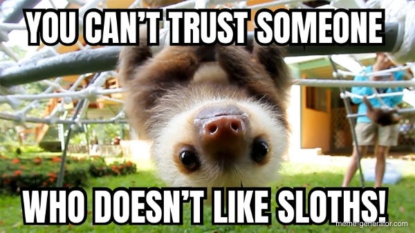 YOU CAN'T TRUST SOMEONE WHO DOESN'T LIKE SLOTHS! - Meme Generator