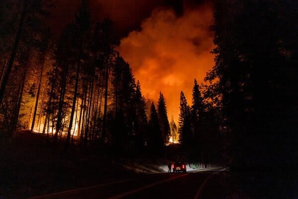 A row of trees is silhouetted at night against  red clouds and smoke from a wildfire in the distance. The  taillights of a vehicle are visible beneath the trees.