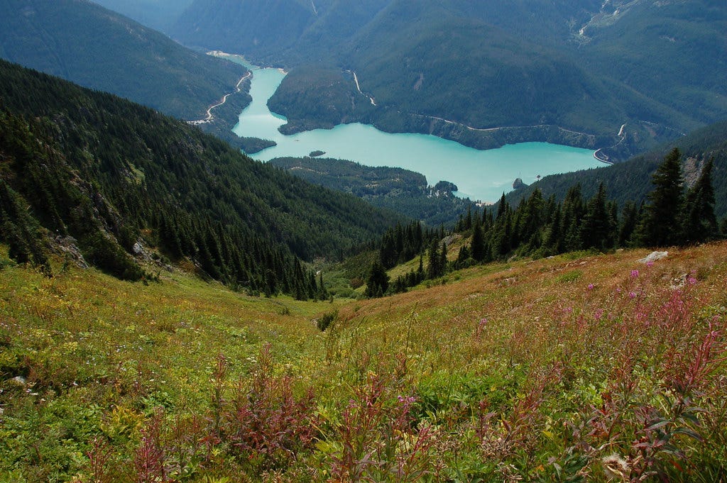 A view down a steep mountain meadow towards forest and a big lake in the valley. "Sourdough Meadows" by cruiznbye is licensed under CC BY-ND 2.0.