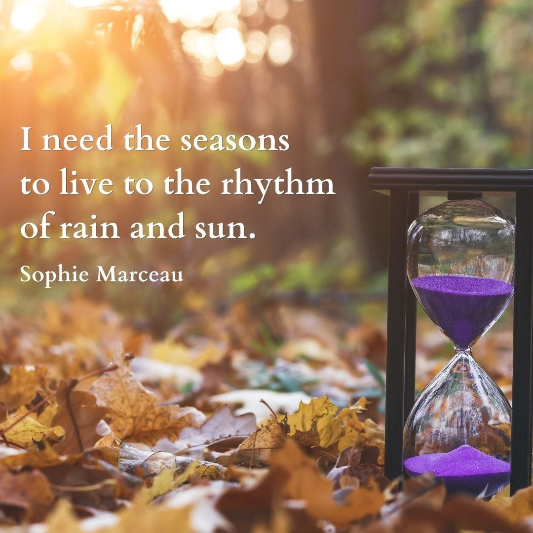 I need the seasons to live to the rhythm of rain and sun.  —Sophie Marceau