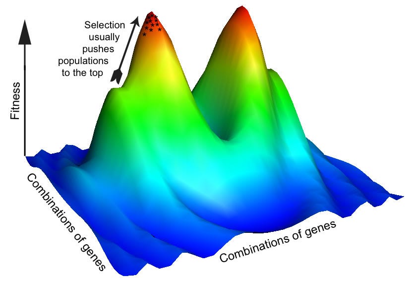 Evolutionary Systems Biology - Introduction