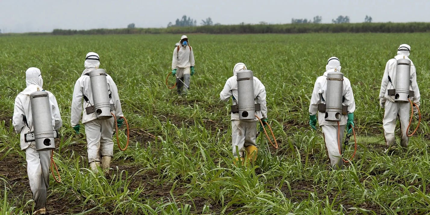 Monsanto's Roundup May Cause Cancer – The Intercept