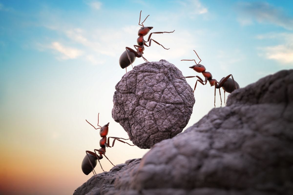 3 ants working to roll a boulder uphill