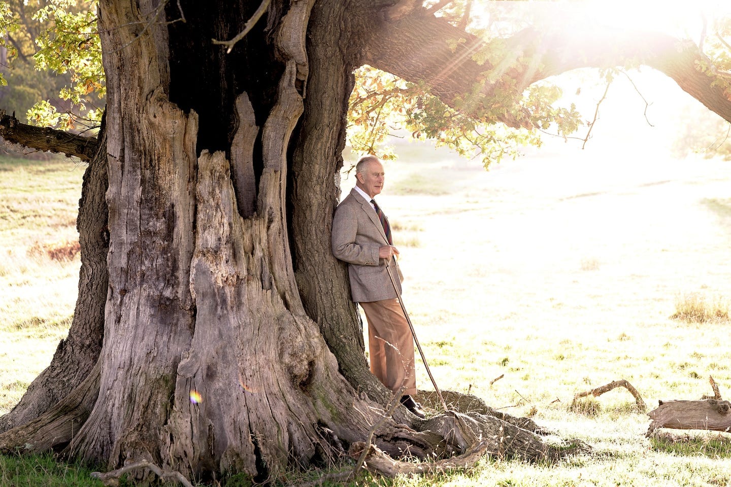 King Charles 74th birthday photo embraces tree-talking ...