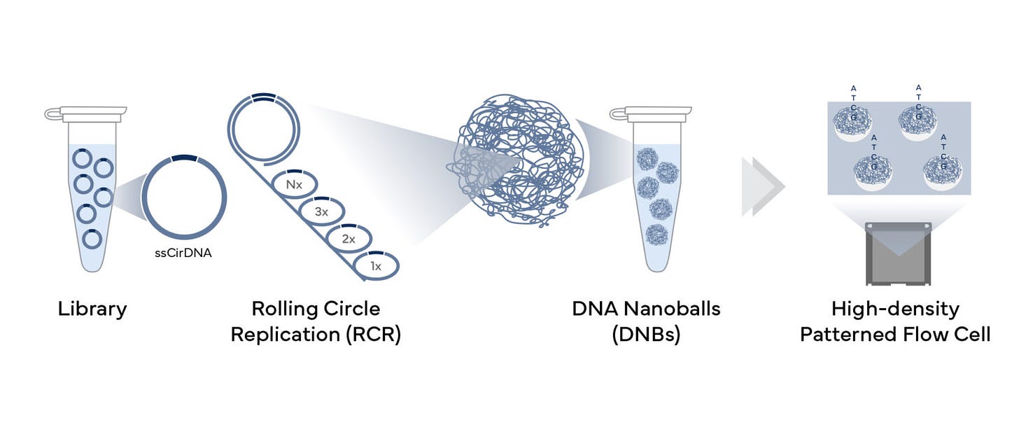 NGS Testing: Redefining the Possibilities of Genomic Studies