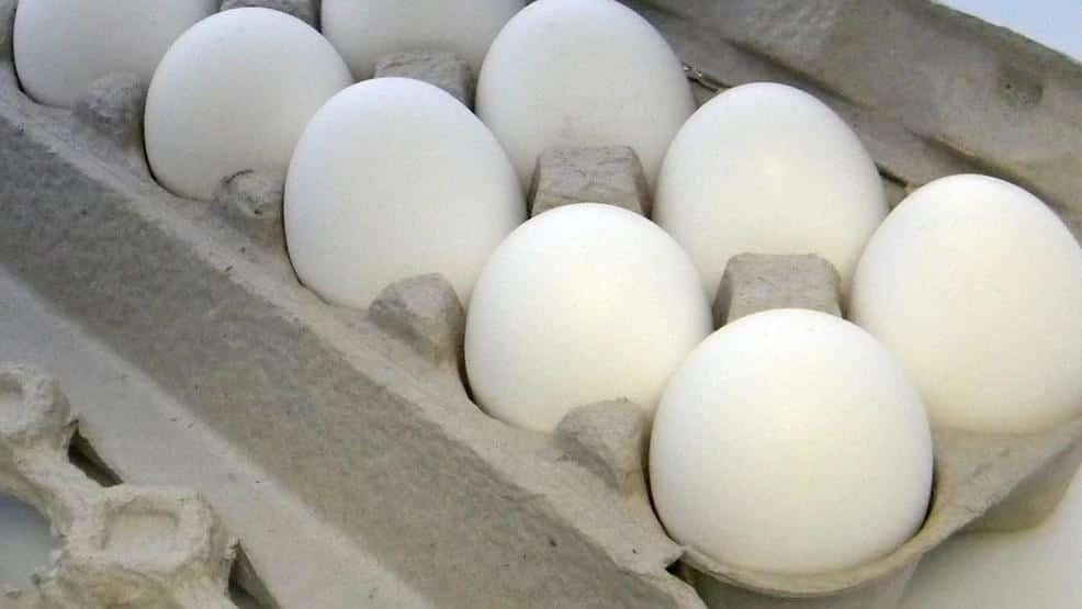Researchers say eggs don’t increase risk of heart disease