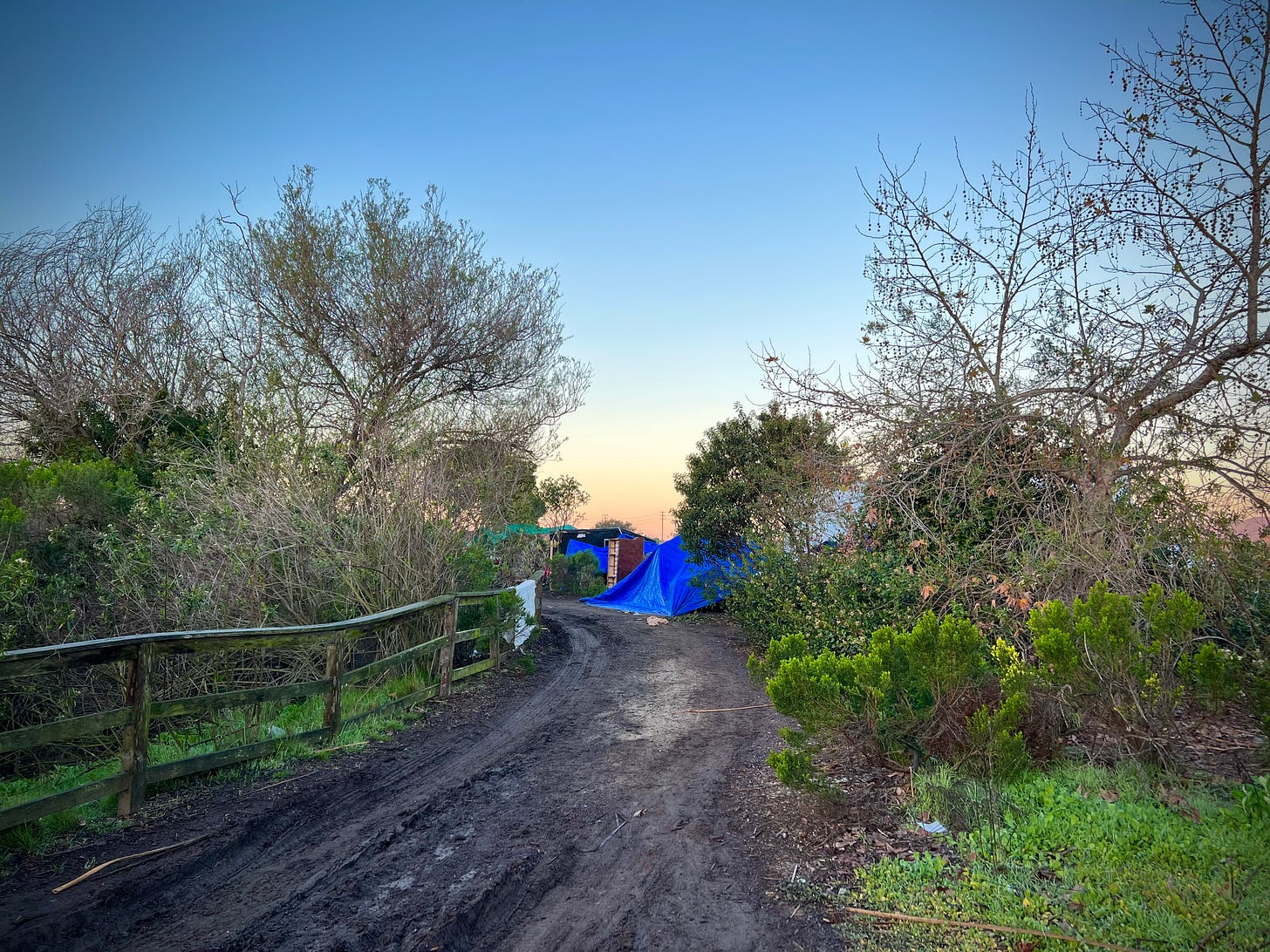 Picture of a muddy vehicular trail through a wildlife preserve, green foliage on either side leading to the beginning of a homeless camp evident from the blue tarps hung over improvised shelters