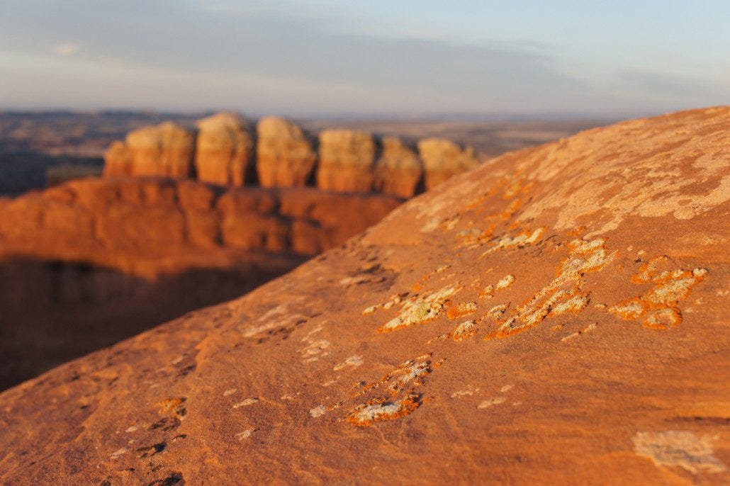 Sunset sandstone