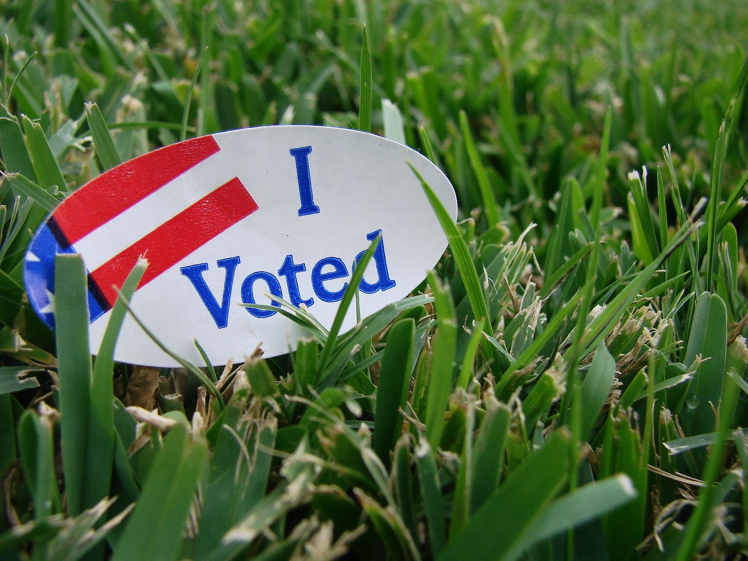 'I Voted' sticker in grass