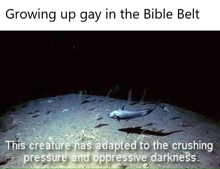 Photo of deep sea fish at the bottom of the dark ocean, with caption "Growing Up Gay in the Bible Belt". Under the fish, the caption reads "The creature has adapted to the crushing pressure and oppressive darkness"