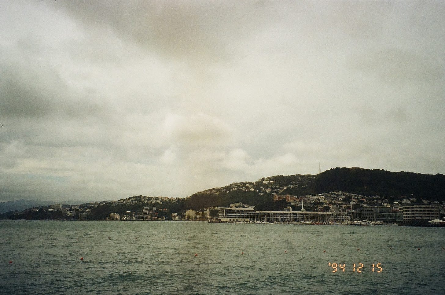Wellington New Zealand must do see where to eat by food and travel writer Courtney Jill Bishop.