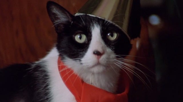 The Sentinel (1977) - Cinema Cats