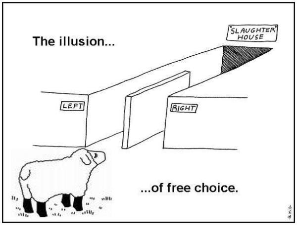 The Illusion of Free Choice