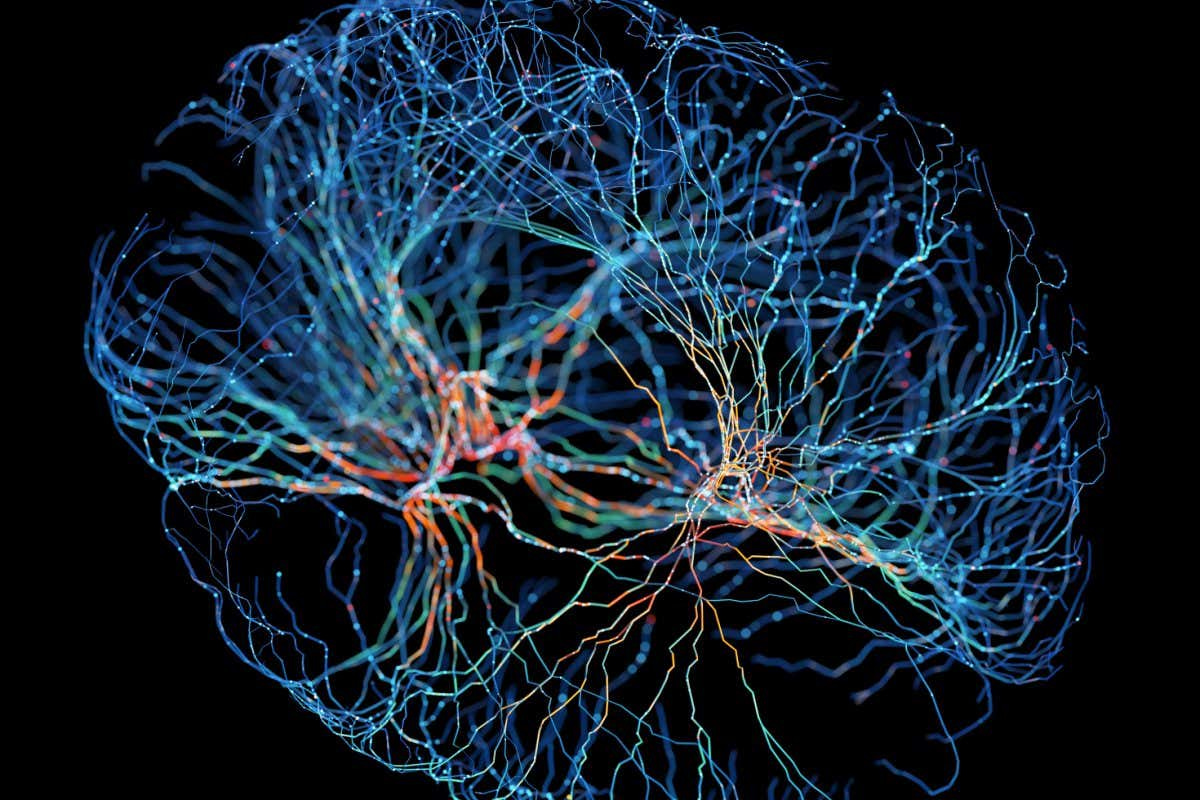 Some regions of your brain can communicate faster as you age | New Scientist