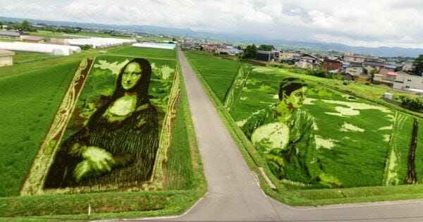 Japanese Village Plants Different Types of Rice To Grow Giant Homage To Art History