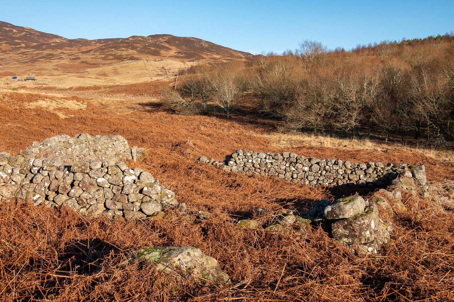 Enclosure at the deserted township of Balmenoch  © Felicity Martin