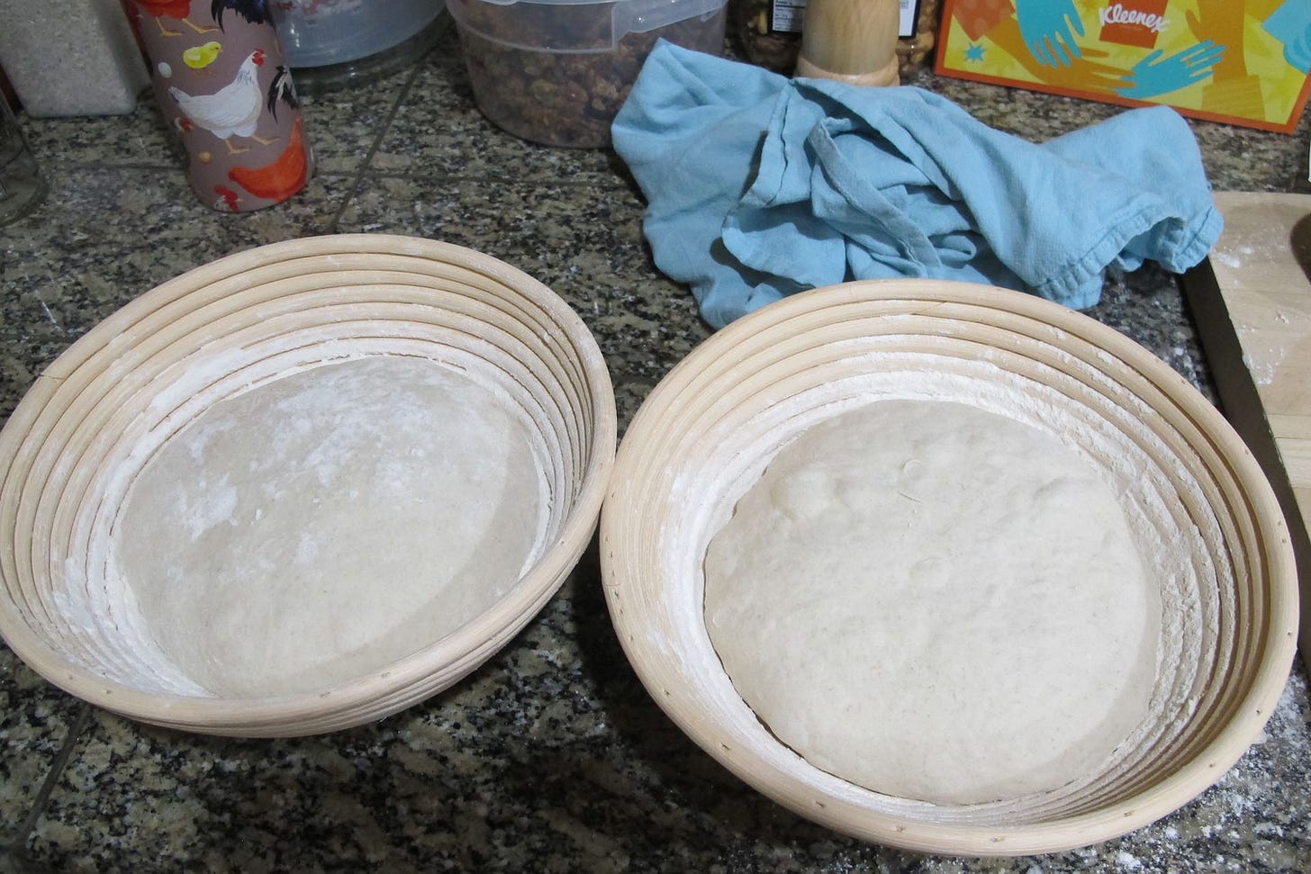 picture of two loaves of bread proofing in baskets