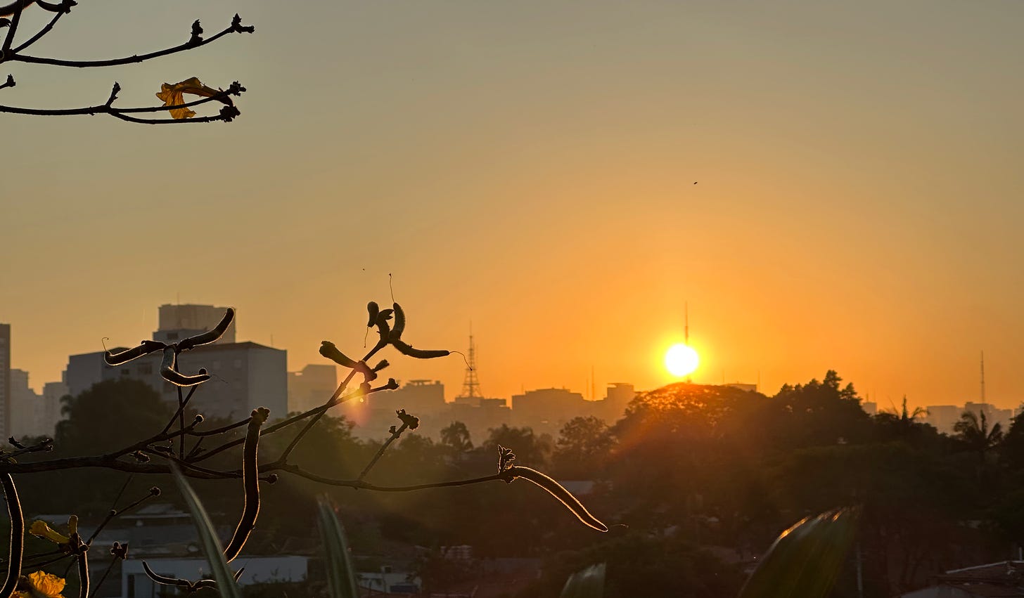 Imagem: Sol nascendo na Av. Paulista visualizado de longe.