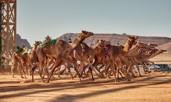 AlUla Camel Cup returns in April for four days of racing | Arab News