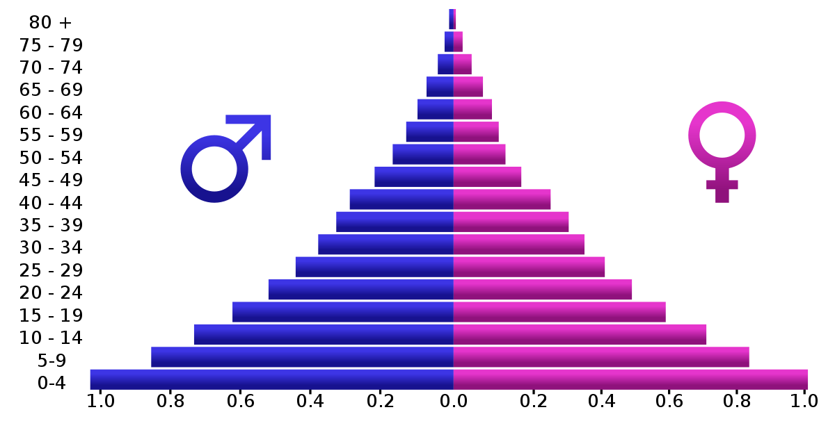 Population pyramid - Wikipedia