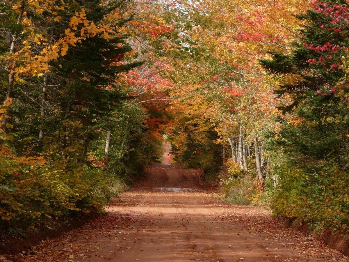 25 Fall Activities and Getaways on Prince Edward Island | To Do Canada