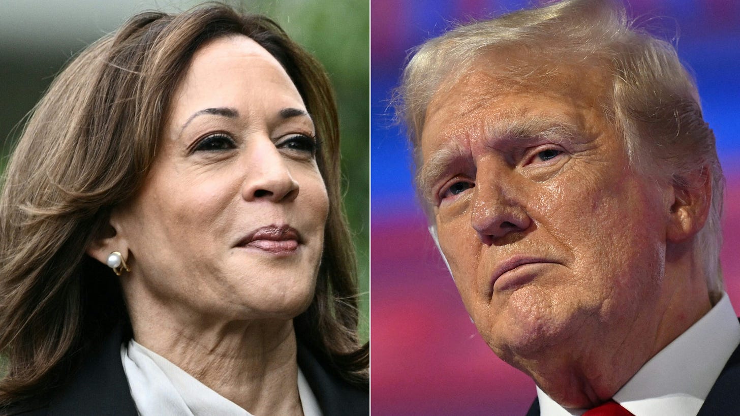 Latest Polls Trump Vs Harris 2024 - Eddy Nerita