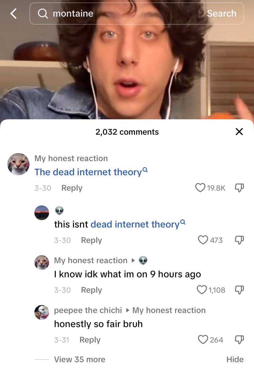 The comments section of a TikTok about Montaine. A user calls out another user's incorrect use of "the dead internet theory," who responds and says "i know idk what im on 9 hours ago."