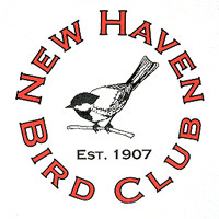 Home - New Haven Bird Club