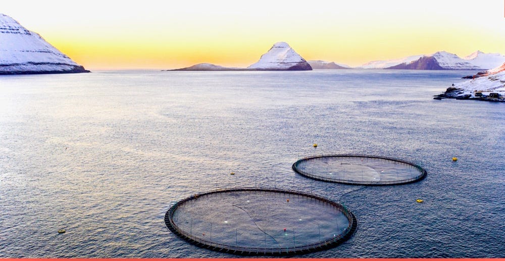 Sustainable salmon farming at Hiddenfjord in the Faroe Islands