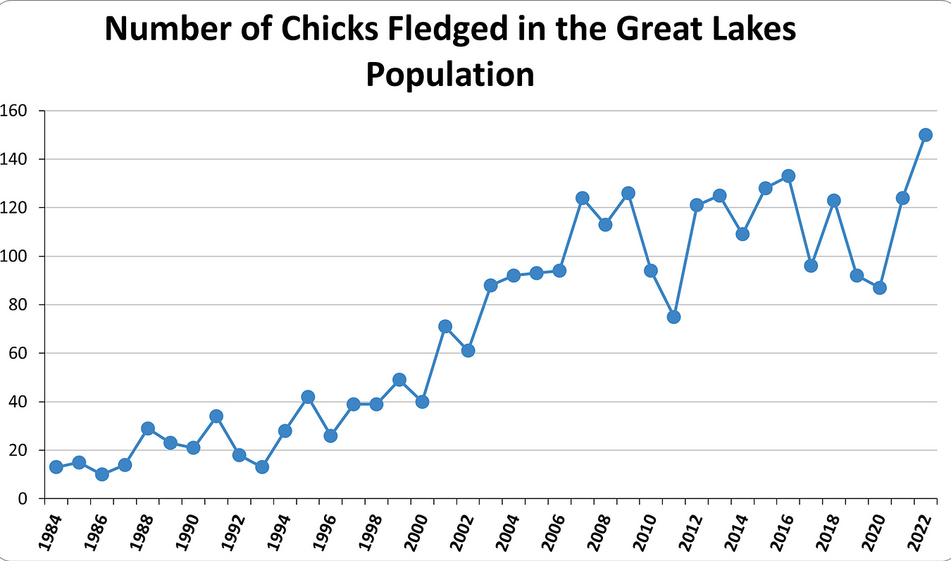 GL Chicks fledged.png