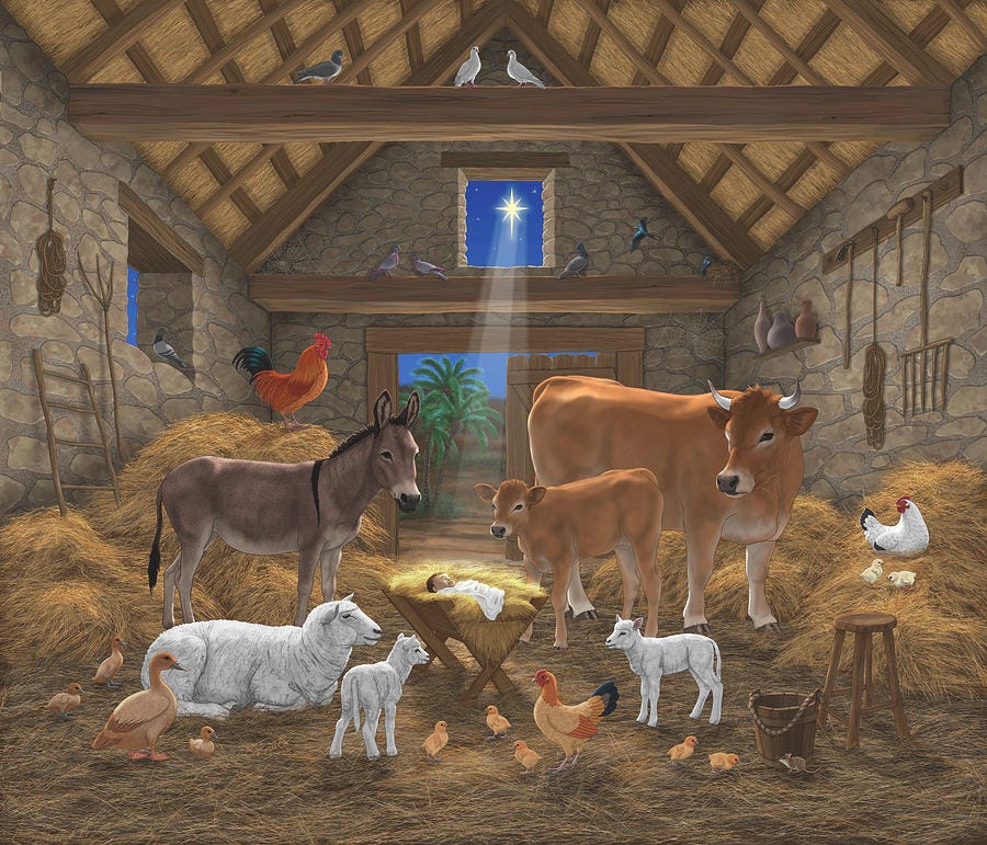 https://images.fineartamerica.com/images/artworkimages/mediumlarge/2/baby-jesus-divine-manger-holy-night-christmas-nativity-scene-barnyard-farm-animals-crista-forest.jpg