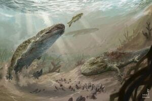 Reconstruction of the metoposaurs, - representatives of temnospondyl amphibians in their environment, some 215 million years ago.