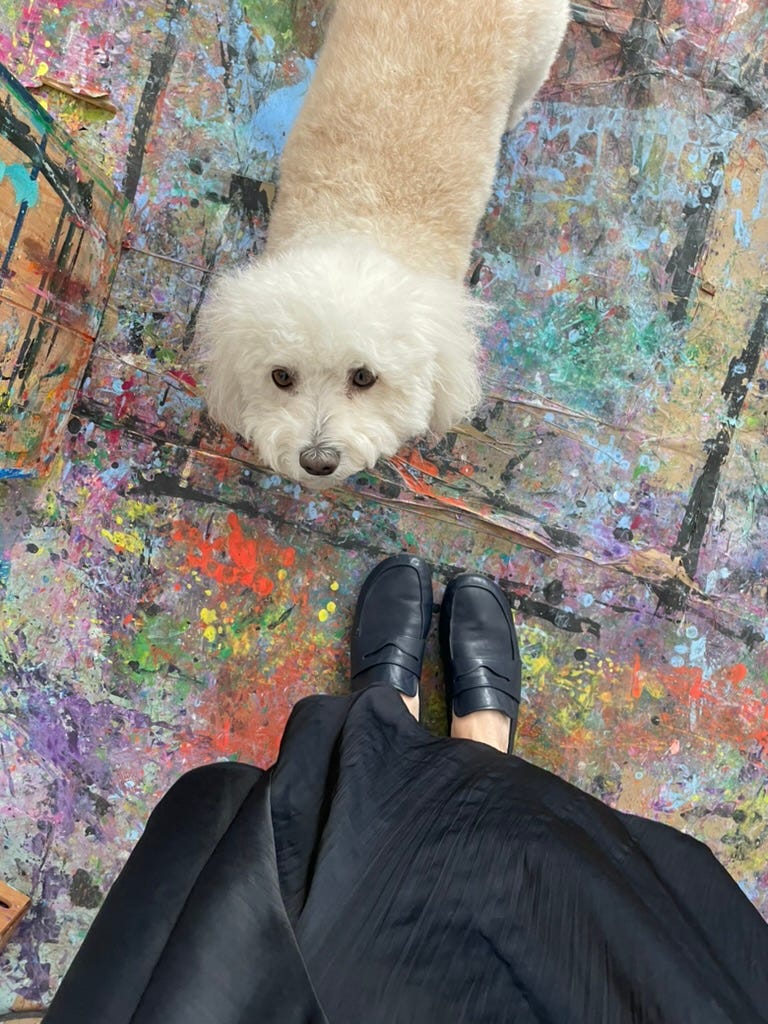 dog on paint splattered artist studio floor
