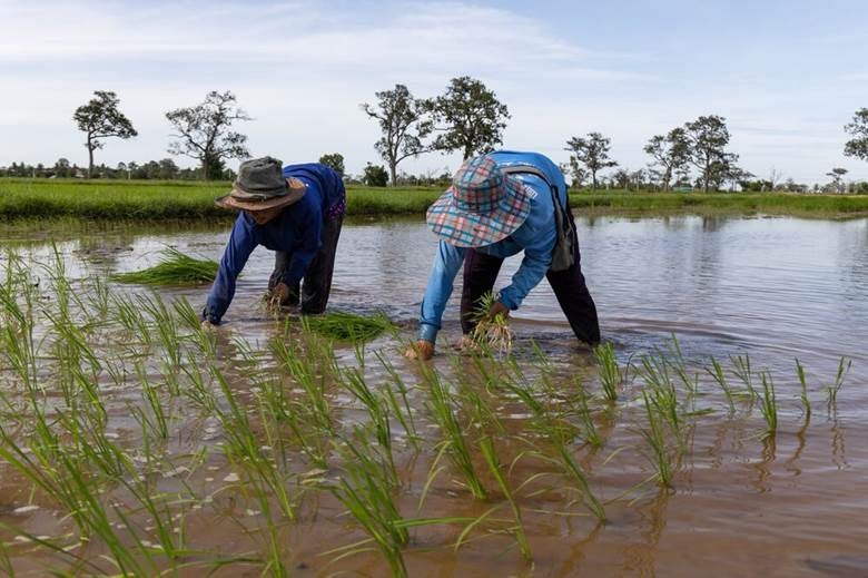 The Thai wet season, which normally begins in the third week of May, will start a bit later this year with a period of intermittent rain in June, the Bangkok Post reported.&nbsp;