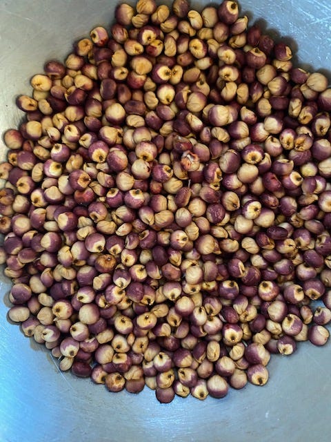 bowl of fresh sorghum grains