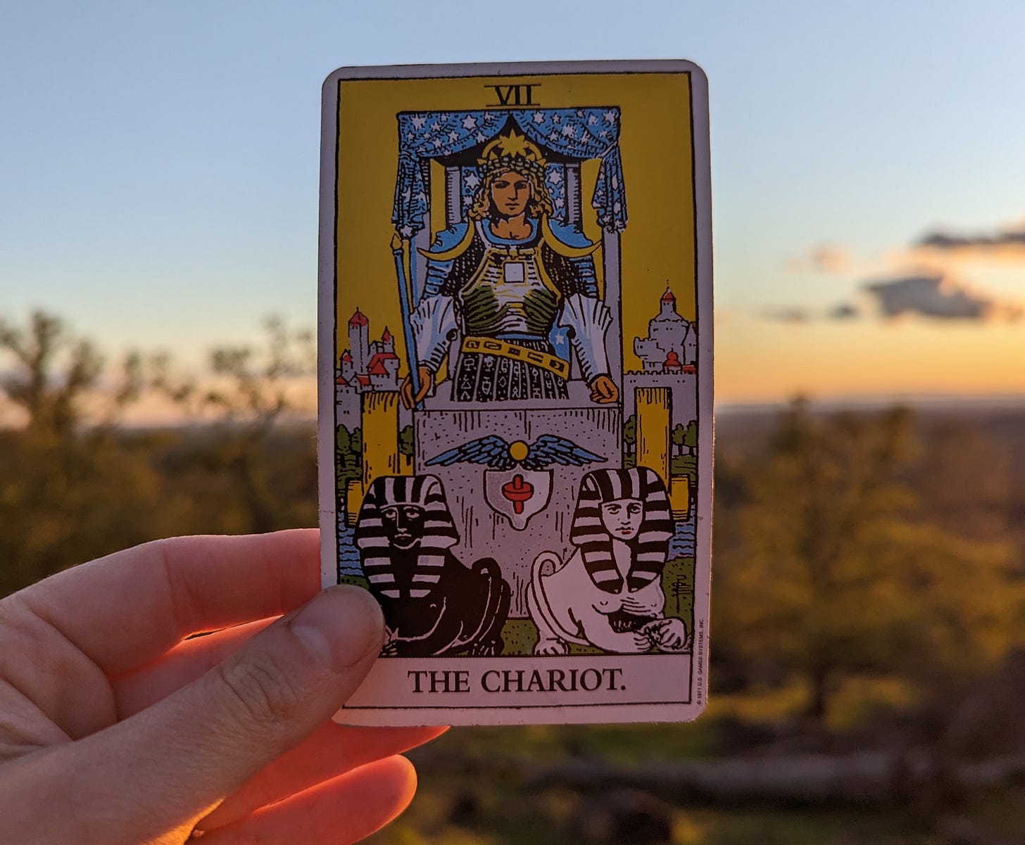 A hand holds up a tarot card at sunset. The card is the Chariot, and depicts a figure riding a chariot drawn by two sphinxes. One sphinx is black, the other is white. Between the sphinxes, there is a symbol of two wings joined by a circle. Above the rider, is a canopy of stars. On their head, the figure wears a green laurel and a golden star. The charioteer wears a square on their chest with alchemical symbols. 
